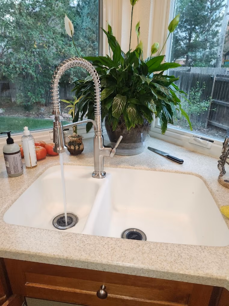 A pull-down kitchen faucet over a white double sink