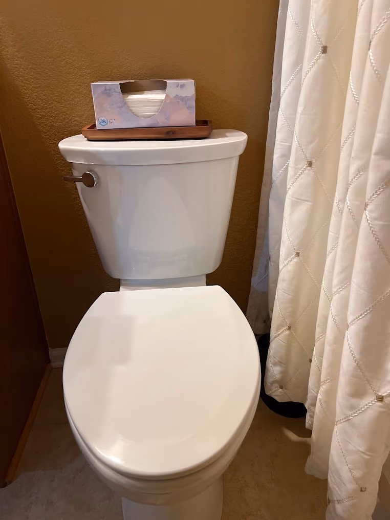 A toilet in a bathroom with a patterned shower curtain